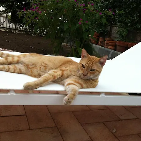 Σπίτι διακοπών Casalello *